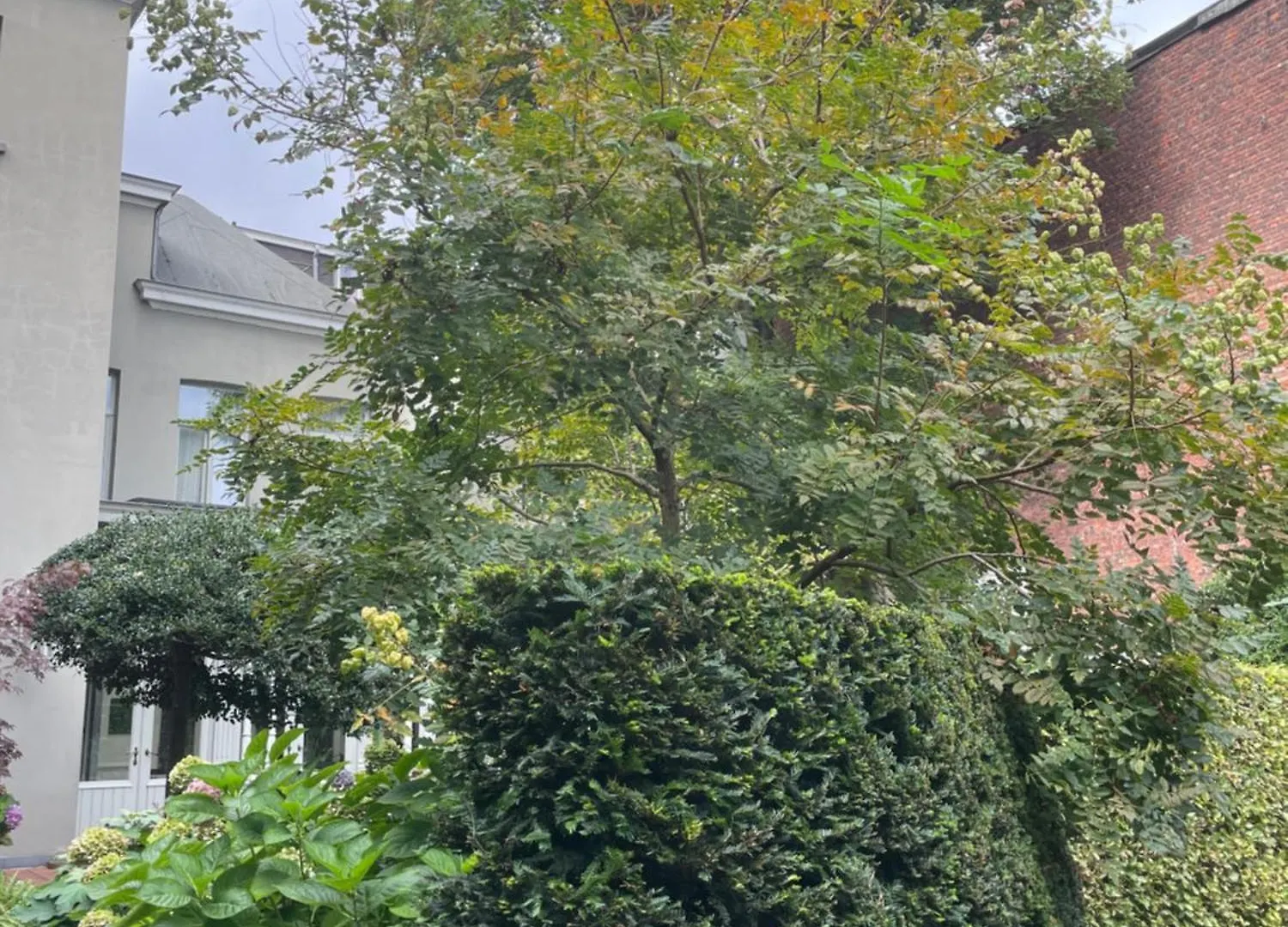 **** Bed & Breakfast Huis Dujardin Bed&Breakfast Antwerp Belgium
